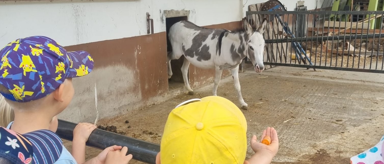 Bauernhof, Projekt, Ding-Kiga