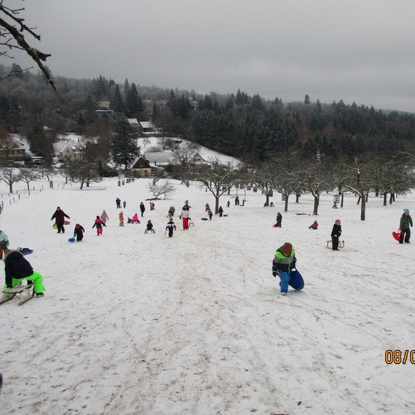 Schlittenfahren, Rodeln, Ding-Kiga, Kindergarten, Winter, Schnee, Kohlhof, Heidelberg, Leimen