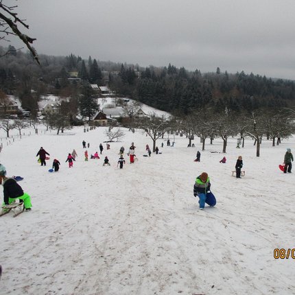 Schlittenfahren, Rodeln, Ding-Kiga, Kindergarten, Winter, Schnee, Kohlhof, Heidelberg, Leimen