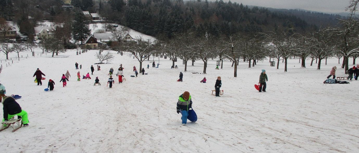 Schlittenfahren, Rodeln, Ding-Kiga, Kindergarten, Winter, Schnee, Kohlhof, Heidelberg, Leimen