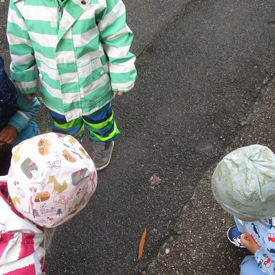 Krippe, U3, Ding- Kindergarten, Natur