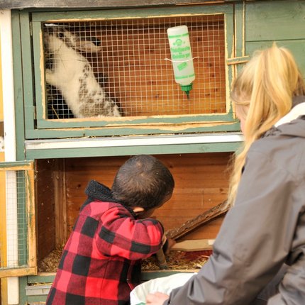 Gefühl, Mitgefühl, Emotionen, Ding- Kindergarten, Hasen