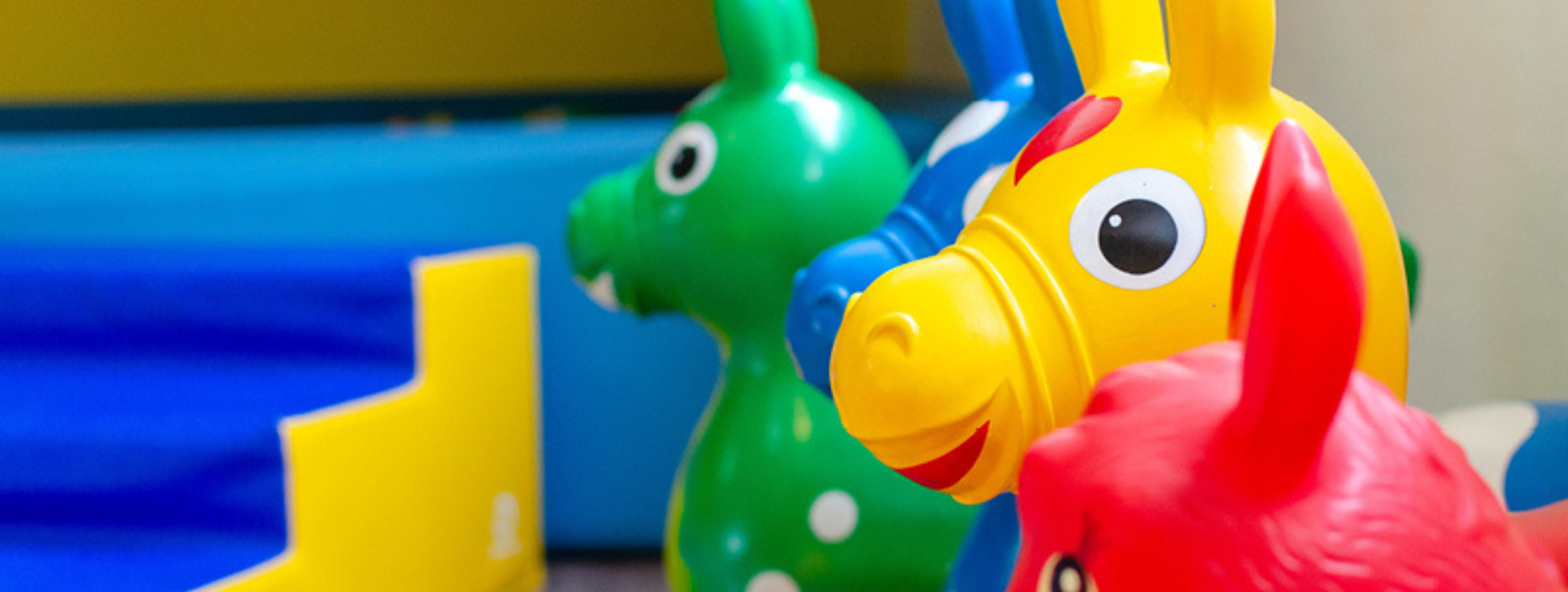 Aktuelles und Aktivitäten